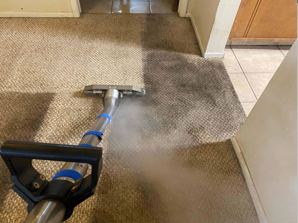 rug-steam-cleaning rug-steam-cleaning